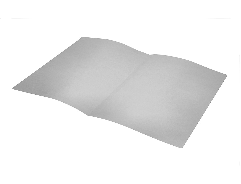 SUBCARPETA LIDERPAPEL A4 GRIS 180G/M2